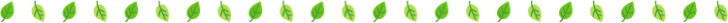 葉っぱの罫線イラスト