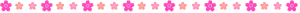 桜の罫線イラスト02