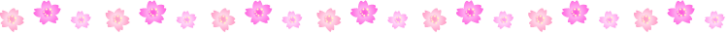 桜の罫線イラスト04