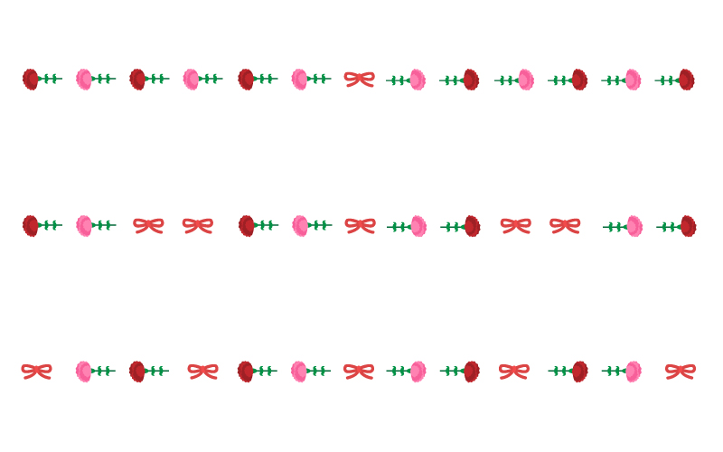 母の日・カーネーションとリボンの罫線イラスト02